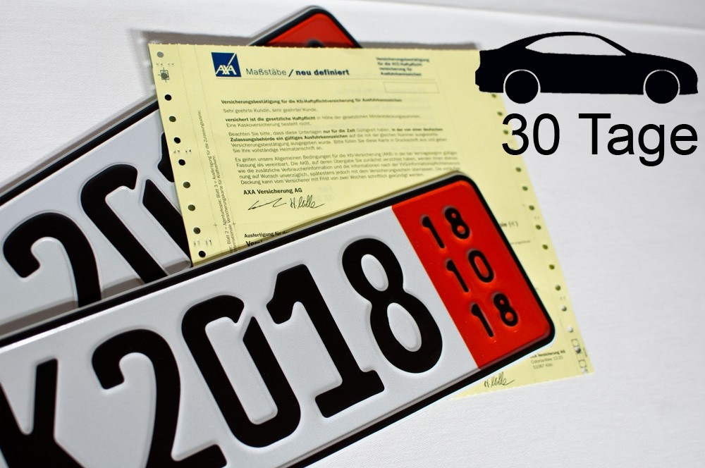 Zollausfuhrversicherung Pkw Fur 30 Tage Nur 84 95