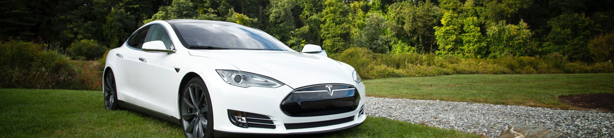 E Kennzeichen Fur Elektroautos Ab 5 55 Bestellen Schilderkroten De