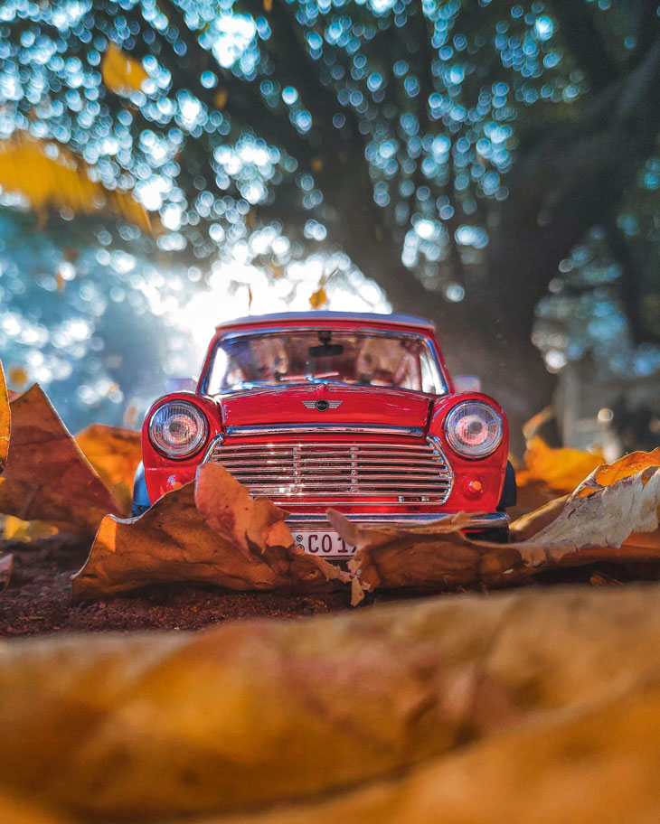 Auto in Herbstlaub, Herbstzeit ist Versicherungs-Wechselzeit